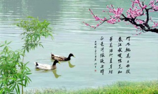 惠崇的意思是什么 了解惠崇的意思是什么