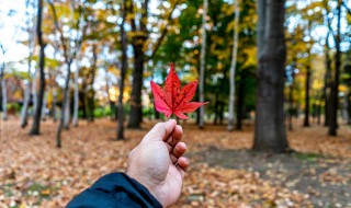 正确理解春捂秋冻的小常识 春捂秋冻相关知识介绍