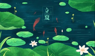 夏至节气如何养生 夏至节气怎样养生