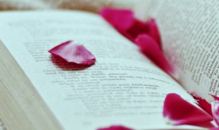 落日晏花何为解笑看红尘乐逍遥是什么意思 落日晏花何为解笑看红尘乐逍遥的理解