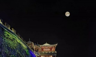 旁逸斜出的逸在词语中什么意思 旁逸斜出的逸解释