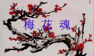 梅花魂里的魂字是什么意思 梅花魂介绍