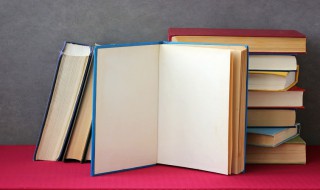 管中窥豹可见一斑什么意思是什么 管中窥豹可见一斑解释