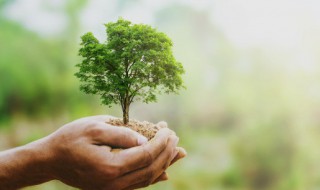 手抄环保报文字内容 手抄环保报文字内容精选