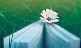 湖南话杠杠滴是什么意思 湖南话杠杠滴解释