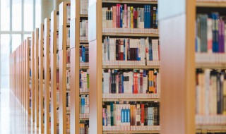 备受青睐什么意思 备受青睐的含义