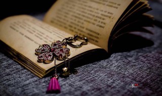 契而不舍什么意思 契而不舍的含义