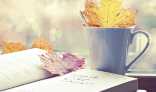 无缝衔接恋爱是什么意思 无缝衔接恋爱解释