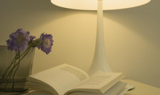 昆虫记优美语段摘抄 昆虫记优美语段摘抄有哪些