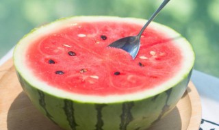 西瓜是蔬菜吗 西瓜是不是蔬菜