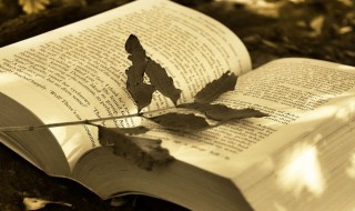 首因效应是什么 首因效应介绍