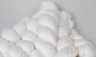 蚕丝产地主要有哪些 蚕丝产地介绍