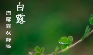 白露谚语 白露谚语精选