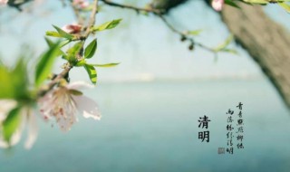 清明养生注意事项 清明养生注意事项有什么