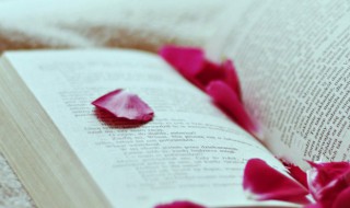 mikey什么意思 mikey的中文翻译