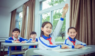 sunflower什么意思 sunflower的意思