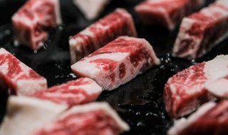 meat是什么意思 meat翻译