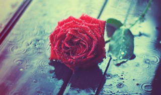 rainy什么意思中文 rainy中文意思介绍