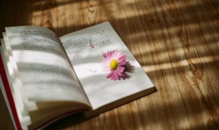 人生何处不相逢相逢何不从相识是什么意思 人生何处不相逢解释