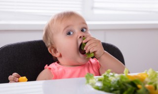 不符合传统餐桌礼仪的是什么 不符合传统餐桌礼仪有哪些