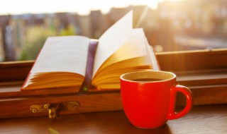 ufo是什么意思中文 ufo具体是什么意思