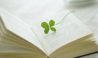 识人不善的意思 识人不善的意思是什么