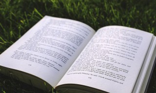 auto是什么意思中文 auto中文解释