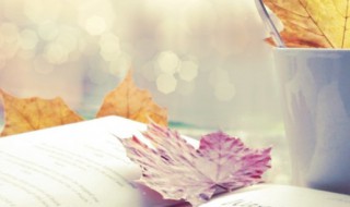 force是什么意思中文 force的中文解释