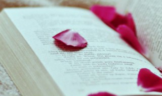 hard是什么意思中文翻译 hard的中文翻译