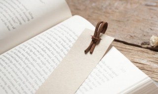 所求皆所愿的下一句所求皆所愿的下一句是什么 所求皆所愿的意思介绍