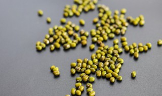 绿豆需要提前泡水吗 绿豆是不是建议提前浸泡比较好