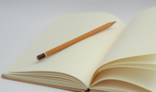 original是什么意思中文翻译 original的中文意思