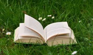 primary的中文意思是什么 primary的中文翻译