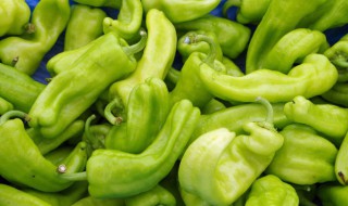 青椒切丝后如何存放 如何存放青椒切丝