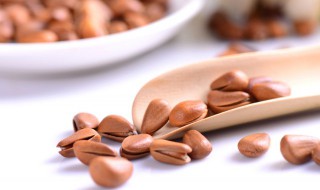 夏天松子如何存放 夏天如何存放松子