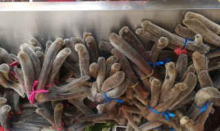 干鹿茸如何存放 如何存放干鹿茸