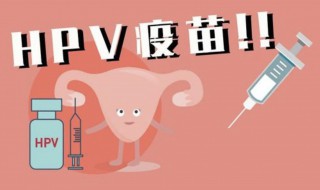 hpv疫苗是什么意思 hpv疫苗解释