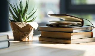 一径竹阴云满地半帘花影月笼纱的意思 一径竹阴云满地半帘花影月笼纱是什么意思