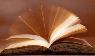 XXS什么意思 XXS解释