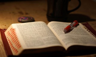 大飒蜜是什么意思 大飒蜜解释