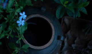 无事绊心弦所念皆如愿什么意思 无事绊心弦所念皆如愿的含义