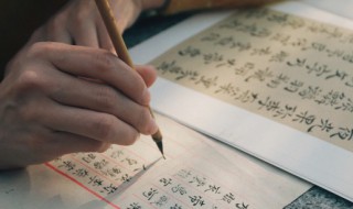 梓字的意思是什么寓意是什么 梓字取名的寓意是什么