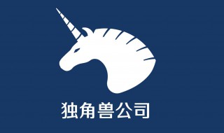 独角兽公司简介 独角兽公司内容简介