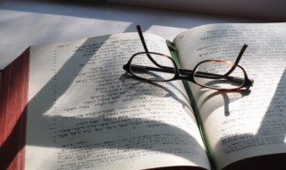 制作人女孩是什么意思 制作人女孩解释