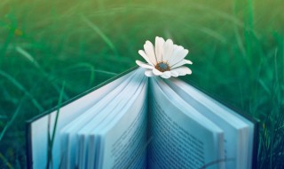 杭州灵隐寺最经典诗词 古诗中的灵隐寺最经典诗词