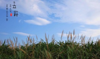 啃秋是什么意思 啃秋的意思