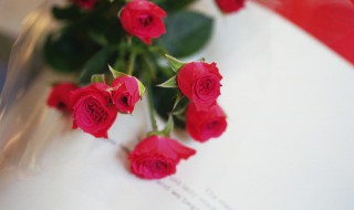 一到二十二朵玫瑰花的含义是什么 一到二十二朵玫瑰花的含义