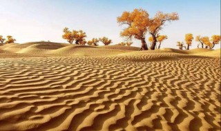 毛乌素沙漠在哪里 毛乌素沙漠介绍