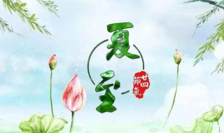 芒种和夏至是在什么时候 芒种和夏至简单介绍