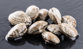蛤蜊要怎样清洗干净 蛤蜊要怎样清洗才干净
